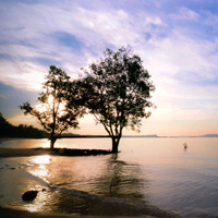 呼死你电话轰炸机