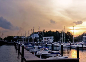 手机号压测网站