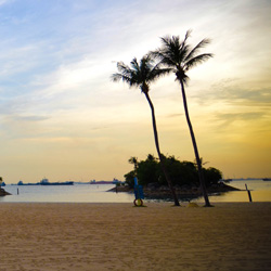 网页短信轰炸机