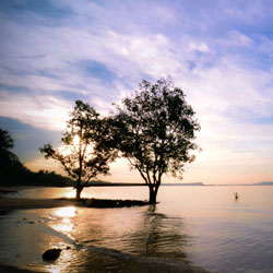 免费短信轰炸机试用